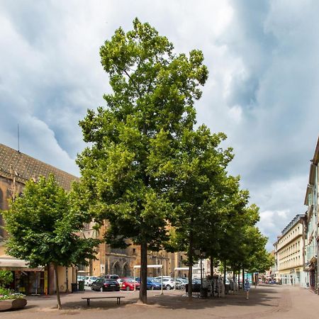 Le Griffon Apartment Colmar Bagian luar foto